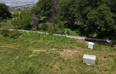 DAĞYENİCE'DE ASFALTA CEPHE 3180 m² ARSA