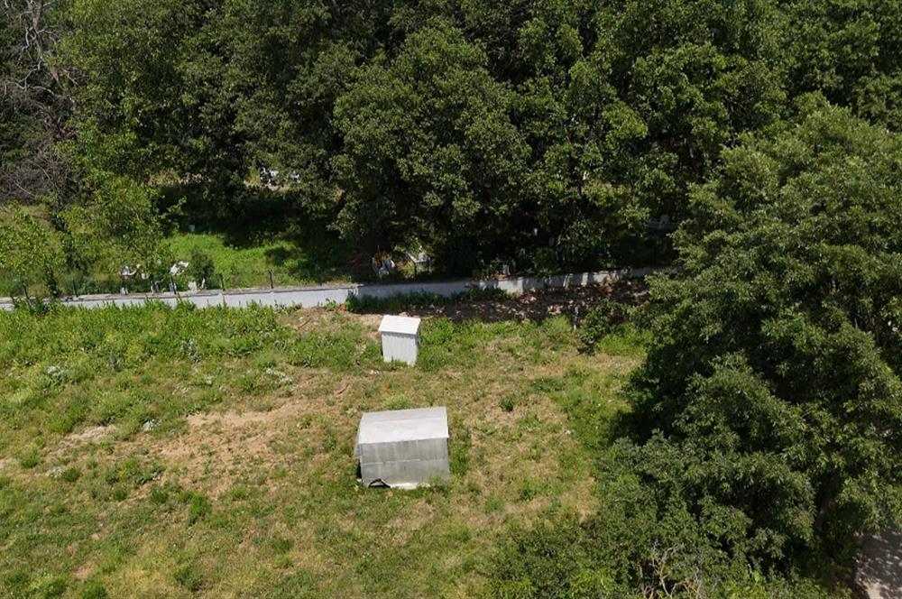 DAĞYENİCE'DE ASFALTA CEPHE 3180 m² ARSA