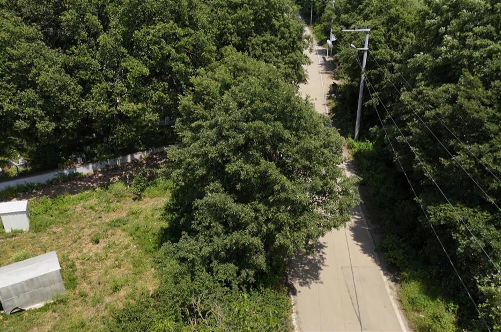 DAĞYENİCE'DE ASFALTA CEPHE 3180 m² ARSA