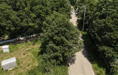 DAĞYENİCE'DE ASFALTA CEPHE 3180 m² ARSA