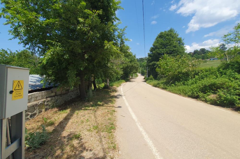DAĞYENİCE'DE ASFALTA CEPHE 3180 m² ARSA