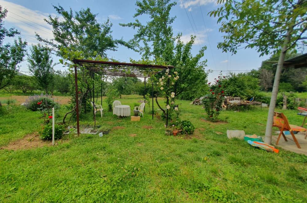DAĞYENİCE'DE ASFALTA CEPHE 3180 m² ARSA