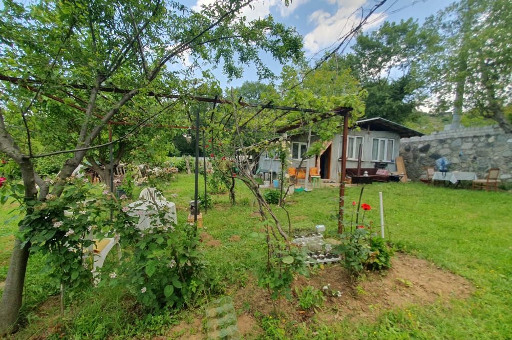 DAĞYENİCE'DE ASFALTA CEPHE 3180 m² ARSA