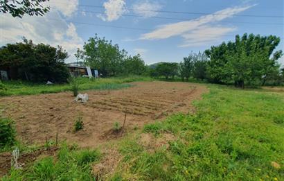 DAĞYENİCE'DE ASFALTA CEPHE 3180 m² ARSA