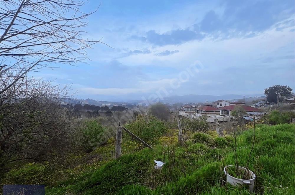 Şile/kalem villa imarlı arsa