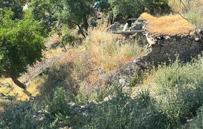 Burhaniye Kuyucak’ta Satılık 1 Villalık arsa 