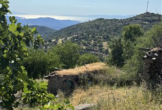 Burhaniye Kuyucak’ta Satılık 1 Villalık arsa 