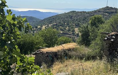 Burhaniye Kuyucak’ta Satılık 1 Villalık arsa 