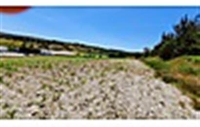 CENTURY21 LOCA'DAN BALIKESİR ALTIEYLÜL CİNGE MAH.9490 m2