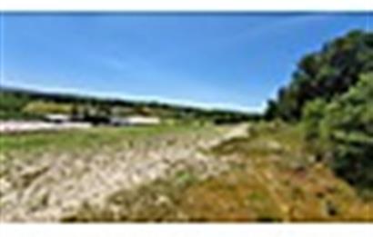 CENTURY21 LOCA'DAN BALIKESİR ALTIEYLÜL CİNGE MAH.9490 m2