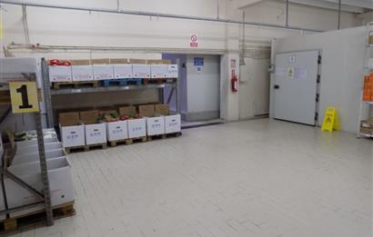 Menemen Serbest Bölge'de Satılık Fabrika Depo