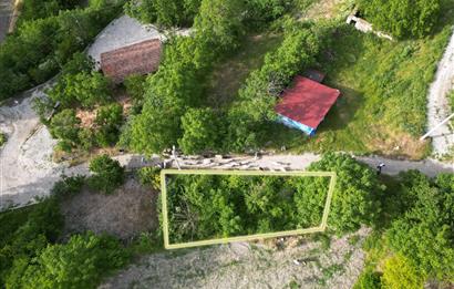 CENTURY21 Bal'dan Bozen'de Satılık Bahçe