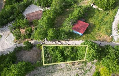 CENTURY21 Bal'dan Bozen'de Satılık Bahçe