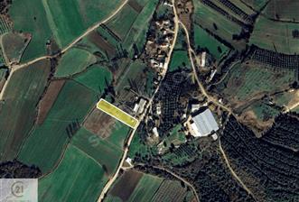 C21 NOVO'DAN KARACABEY KEDİKAYA'DA SATILIK 2.664 m2 ARSA