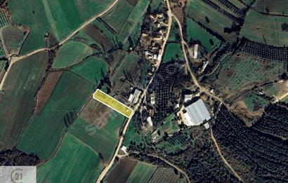 C21 NOVO'DAN KARACABEY KEDİKAYA'DA SATILIK 2.664 m2 ARSA