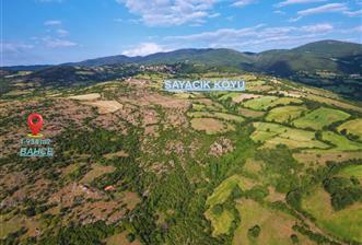 C21 WİNNER KEPSUT SAYACIK 1.934m² SATILIK BAHÇE
