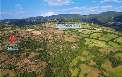 C21 WİNNER KEPSUT SAYACIK 1.934m² SATILIK BAHÇE