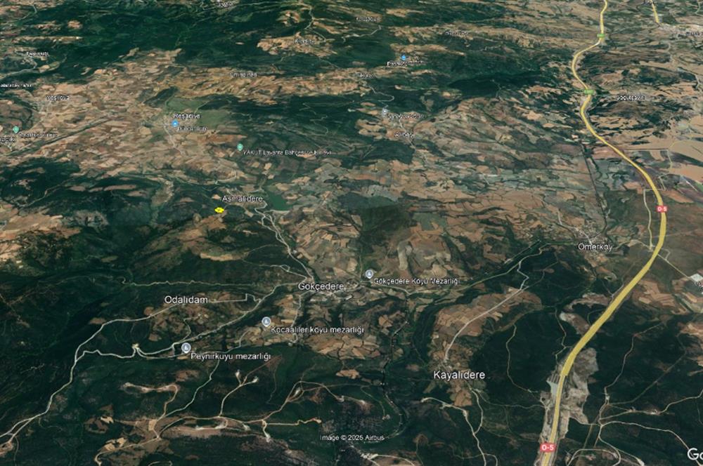 C21 BAL'dan SUSURLUK ASMALIDERE'DE RESMİ YOL MEVCUT 7500M2 BADEMLİK