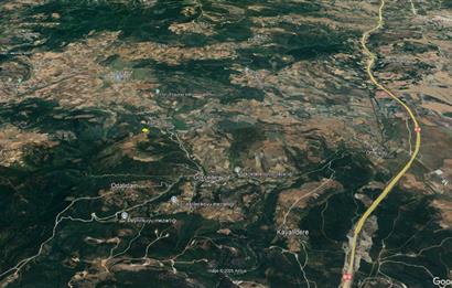 C21 BAL'dan SUSURLUK ASMALIDERE'DE RESMİ YOL MEVCUT 7500M2 BADEMLİK