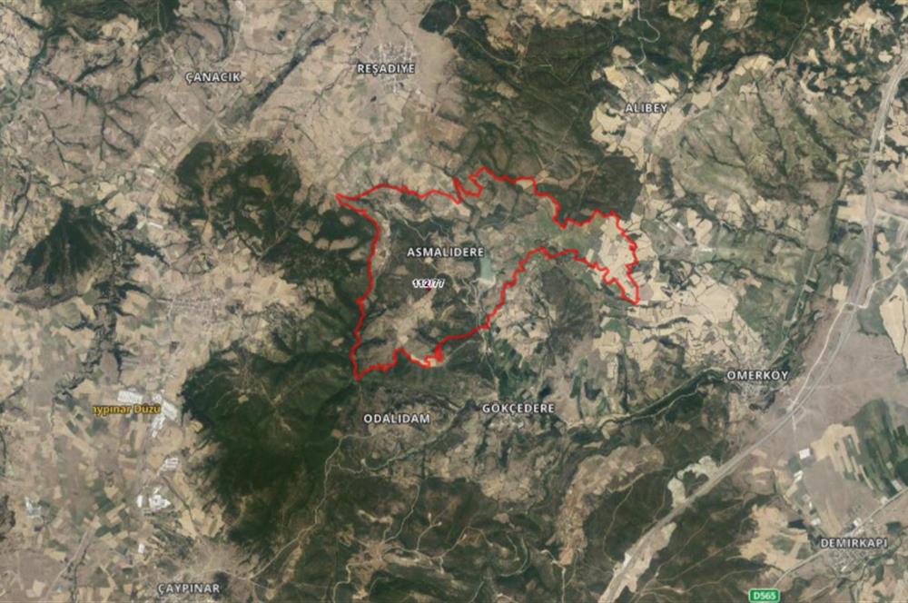 C21 BAL'dan SUSURLUK ASMALIDERE'DE RESMİ YOL MEVCUT 7500M2 BADEMLİK