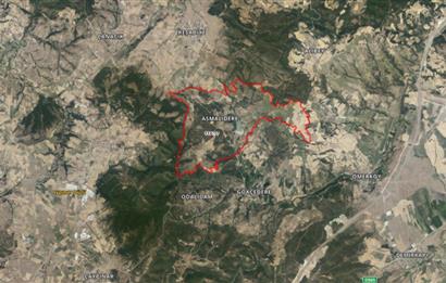 C21 BAL'dan SUSURLUK ASMALIDERE'DE RESMİ YOL MEVCUT 7500M2 BADEMLİK