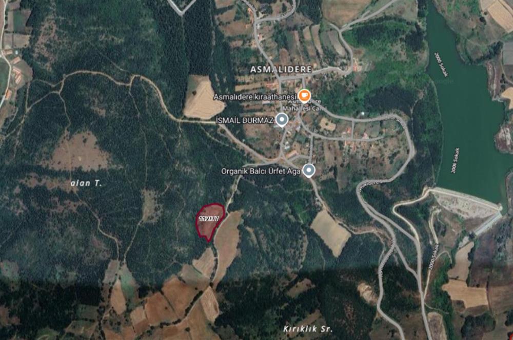 C21 BAL'dan SUSURLUK ASMALIDERE'DE RESMİ YOL MEVCUT 7500M2 BADEMLİK