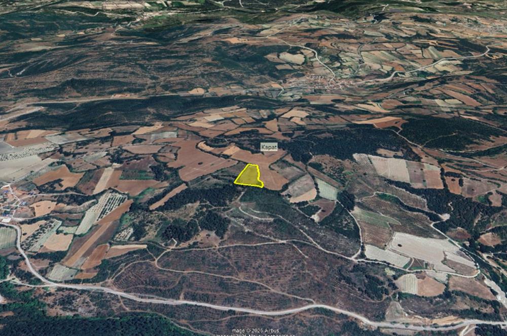 C21 BAL'dan Kirazpınar köyünde 7 Dönüm Orman kenarı