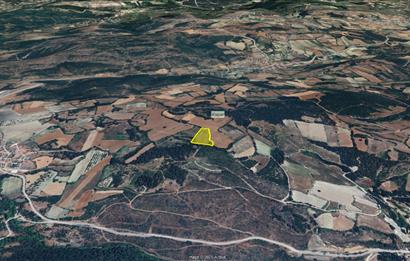 C21 BAL'dan Kirazpınar köyünde 7 Dönüm Orman kenarı