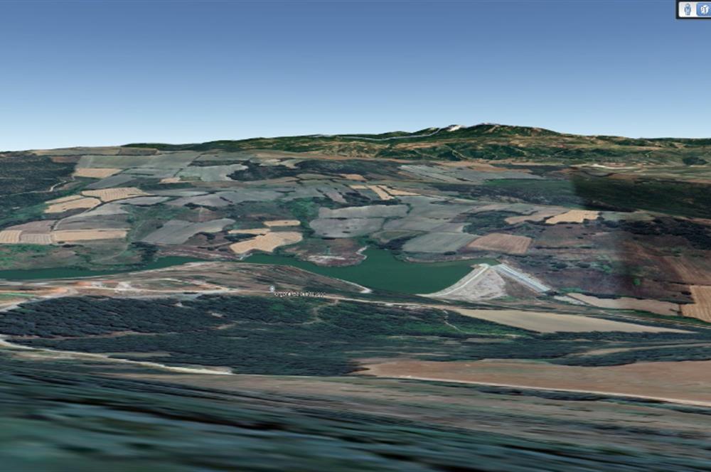 C21 BAL'dan SUSURLUK ASMALIDERE'DE RESMİ YOL MEVCUT 7500M2 BADEMLİK