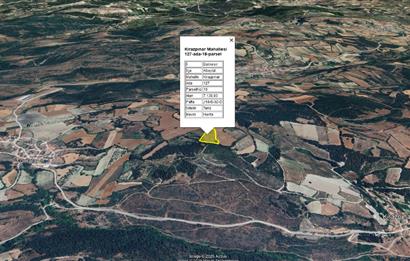C21 BAL'dan Kirazpınar köyünde 7 Dönüm Orman kenarı