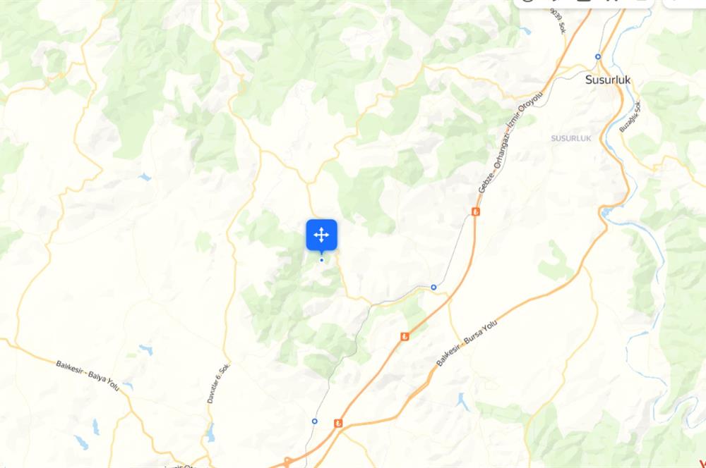 C21 BAL'dan SUSURLUK ASMALIDERE'DE RESMİ YOL MEVCUT 7500M2 BADEMLİK