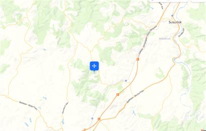C21 BAL'dan SUSURLUK ASMALIDERE'DE RESMİ YOL MEVCUT 7500M2 BADEMLİK