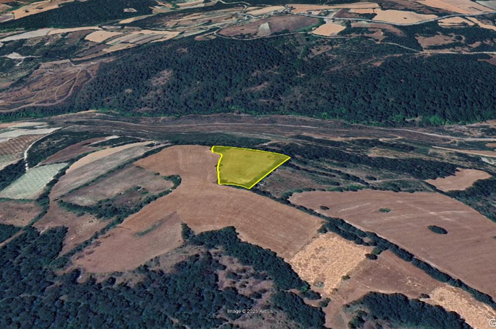 C21 BAL'dan Kirazpınar köyünde 7 Dönüm Orman kenarı