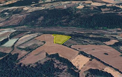 C21 BAL'dan Kirazpınar köyünde 7 Dönüm Orman kenarı