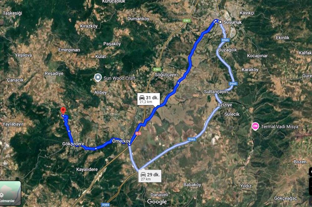 C21 BAL'dan SUSURLUK ASMALIDERE'DE RESMİ YOL MEVCUT 7500M2 BADEMLİK