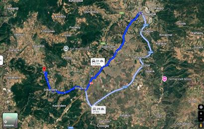 C21 BAL'dan SUSURLUK ASMALIDERE'DE RESMİ YOL MEVCUT 7500M2 BADEMLİK