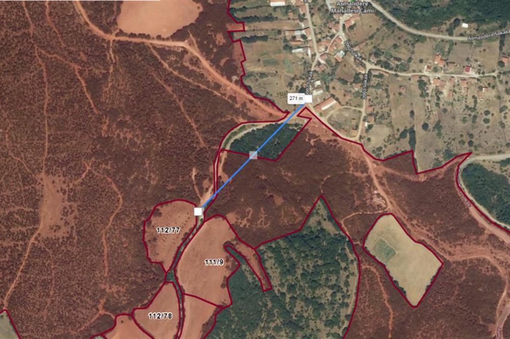 C21 BAL'dan SUSURLUK ASMALIDERE'DE RESMİ YOL MEVCUT 7500M2 BADEMLİK