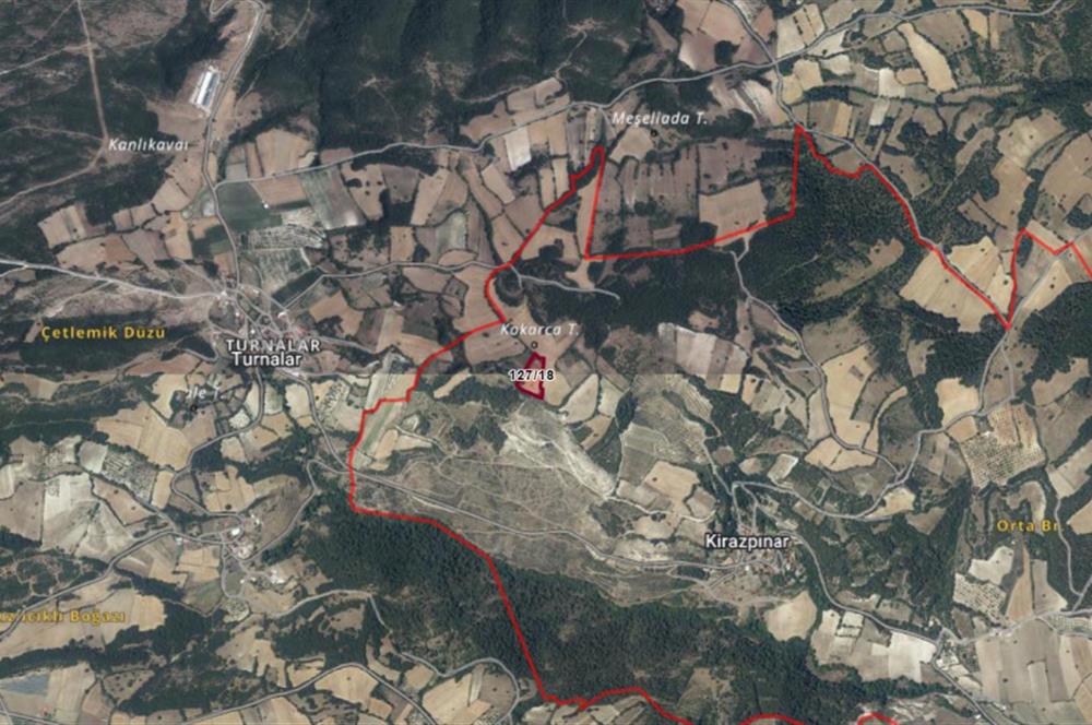 C21 BAL'dan Kirazpınar köyünde 7 Dönüm Orman kenarı