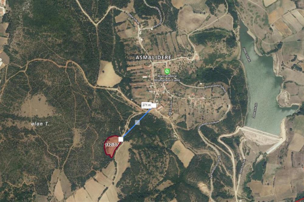 C21 BAL'dan SUSURLUK ASMALIDERE'DE RESMİ YOL MEVCUT 7500M2 BADEMLİK