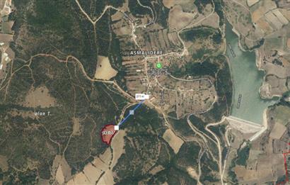 C21 BAL'dan SUSURLUK ASMALIDERE'DE RESMİ YOL MEVCUT 7500M2 BADEMLİK