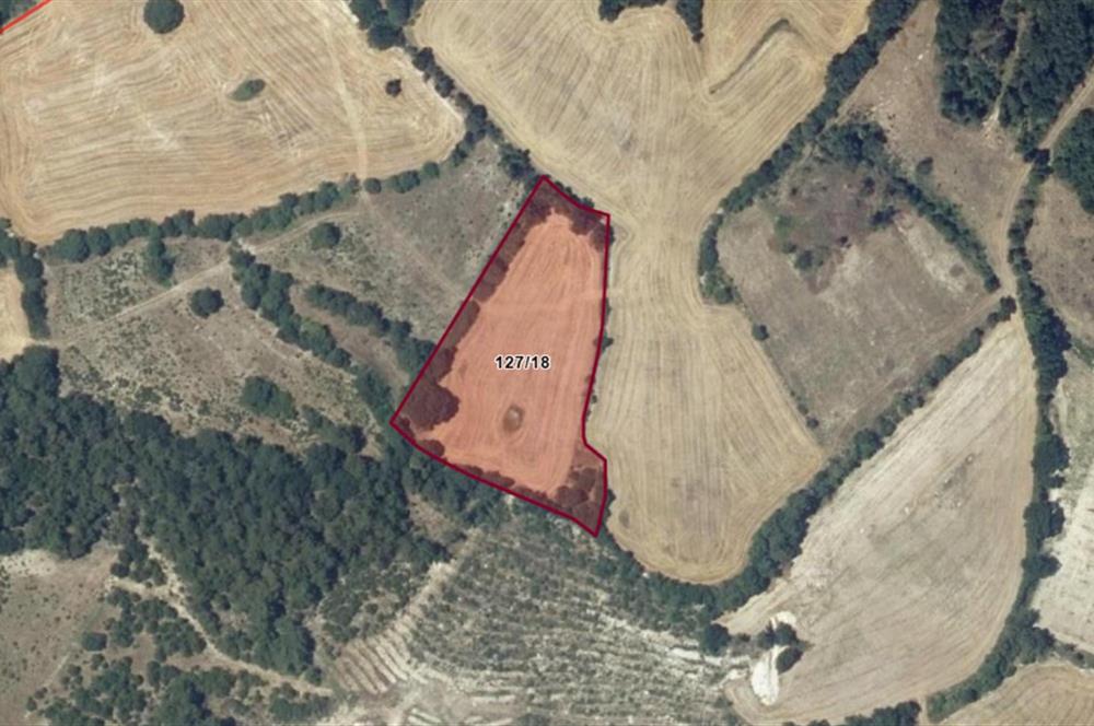 C21 BAL'dan Kirazpınar köyünde 7 Dönüm Orman kenarı