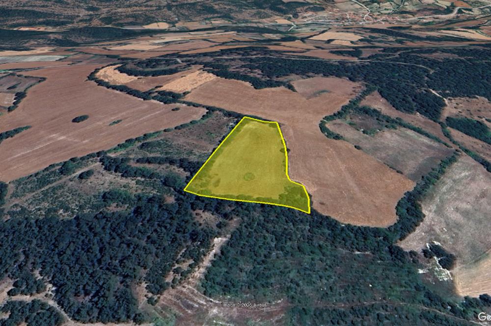 C21 BAL'dan Kirazpınar köyünde 7 Dönüm Orman kenarı
