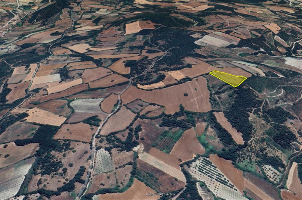 C21 BAL'dan Kirazpınar köyünde 7 Dönüm Orman kenarı