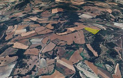 C21 BAL'dan Kirazpınar köyünde 7 Dönüm Orman kenarı