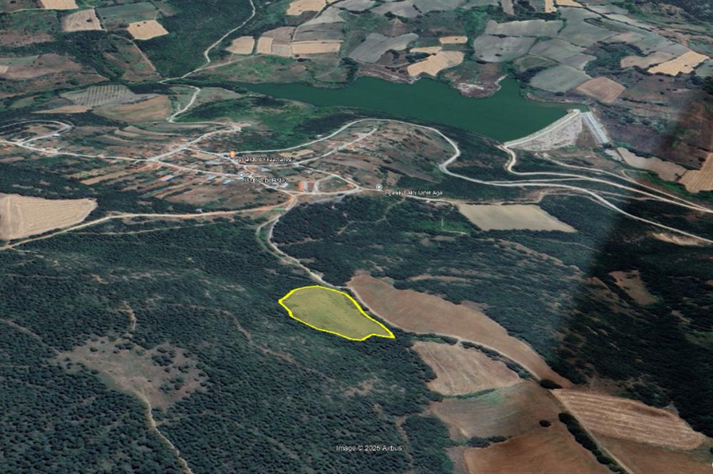C21 BAL'dan SUSURLUK ASMALIDERE'DE RESMİ YOL MEVCUT 7500M2 BADEMLİK