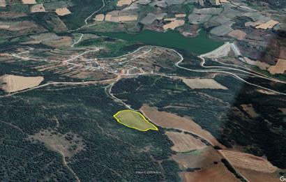 C21 BAL'dan SUSURLUK ASMALIDERE'DE RESMİ YOL MEVCUT 7500M2 BADEMLİK