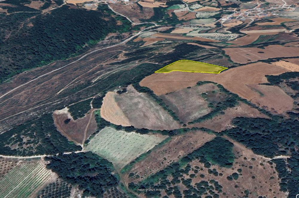 C21 BAL'dan Kirazpınar köyünde 7 Dönüm Orman kenarı
