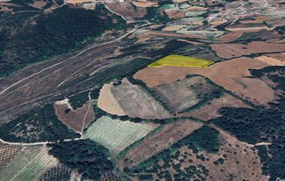 C21 BAL'dan Kirazpınar köyünde 7 Dönüm Orman kenarı