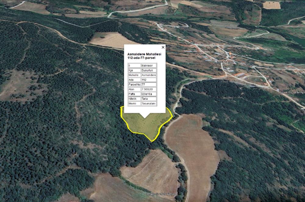 C21 BAL'dan SUSURLUK ASMALIDERE'DE RESMİ YOL MEVCUT 7500M2 BADEMLİK