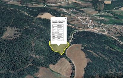 C21 BAL'dan SUSURLUK ASMALIDERE'DE RESMİ YOL MEVCUT 7500M2 BADEMLİK